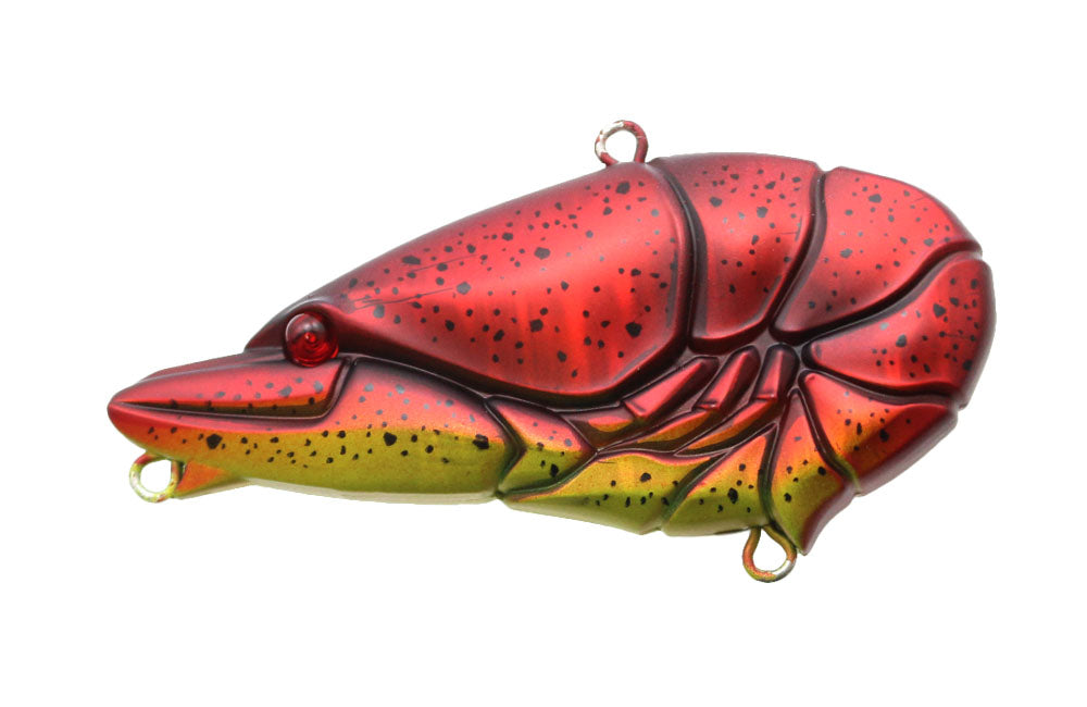 G.C. Zari Vib Jr.57 - ISSEI