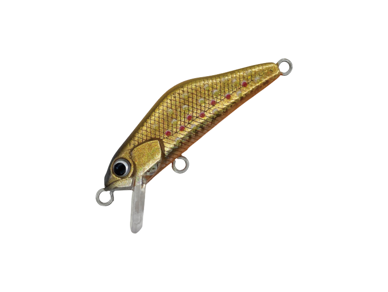 HARDSTREAMS T-Gravits - IVYLINE