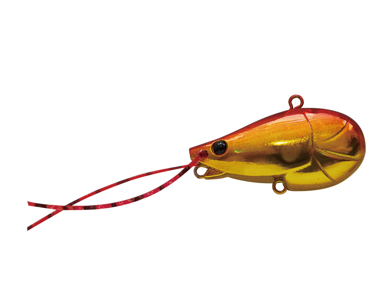 Chinukoro Vibe - Jackson