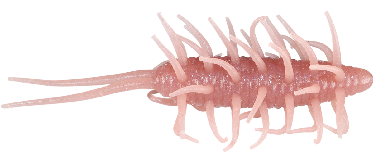 Coike Shrimp Big - HIDEUP