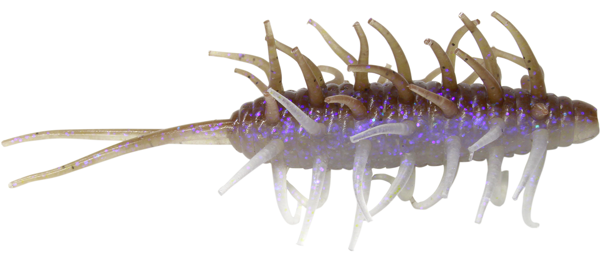 Coike Shrimp Big - HIDEUP