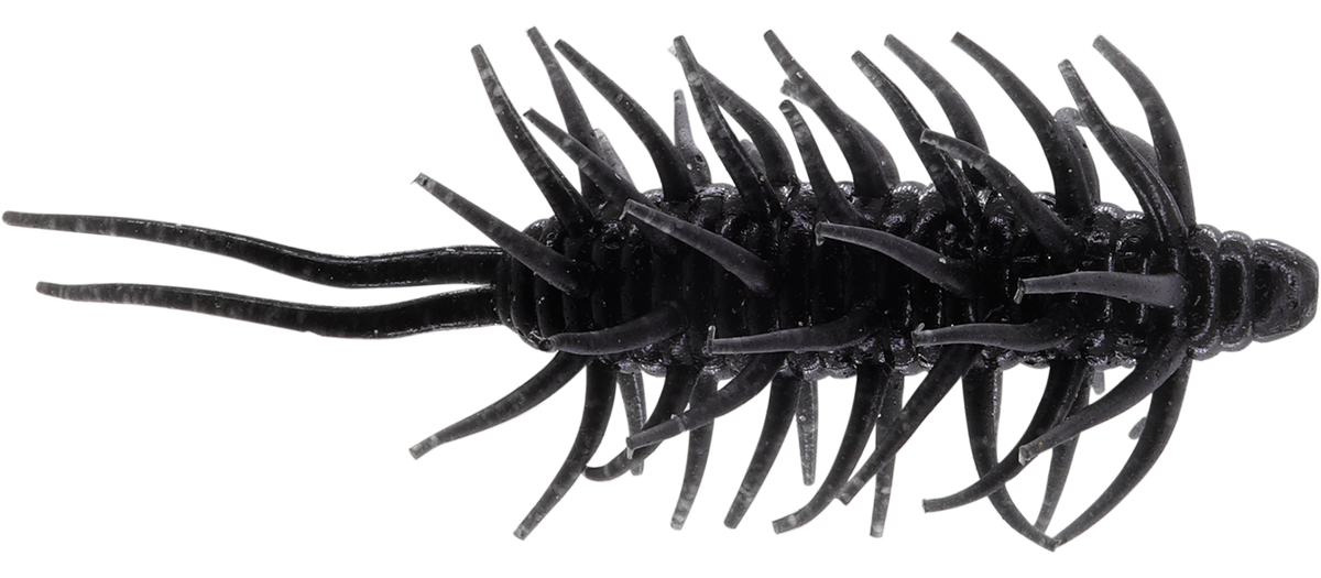Coike Shrimp Big - HIDEUP