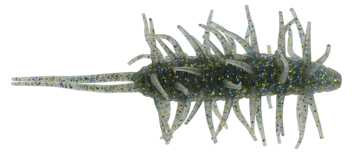Coike Shrimp Big - HIDEUP