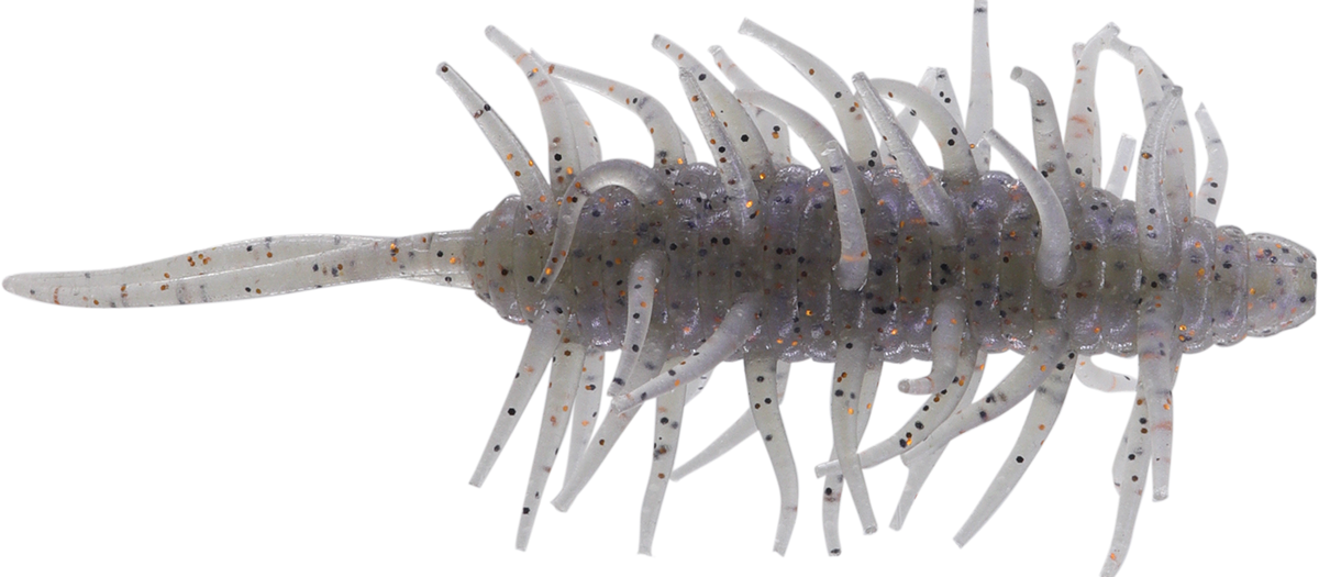 Coike Shrimp Big - HIDEUP