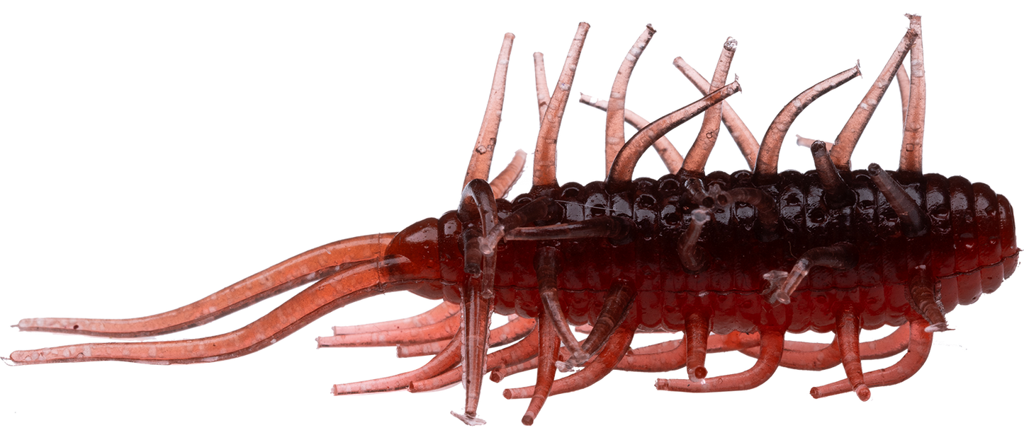 Coike Shrimp - HIDEUP