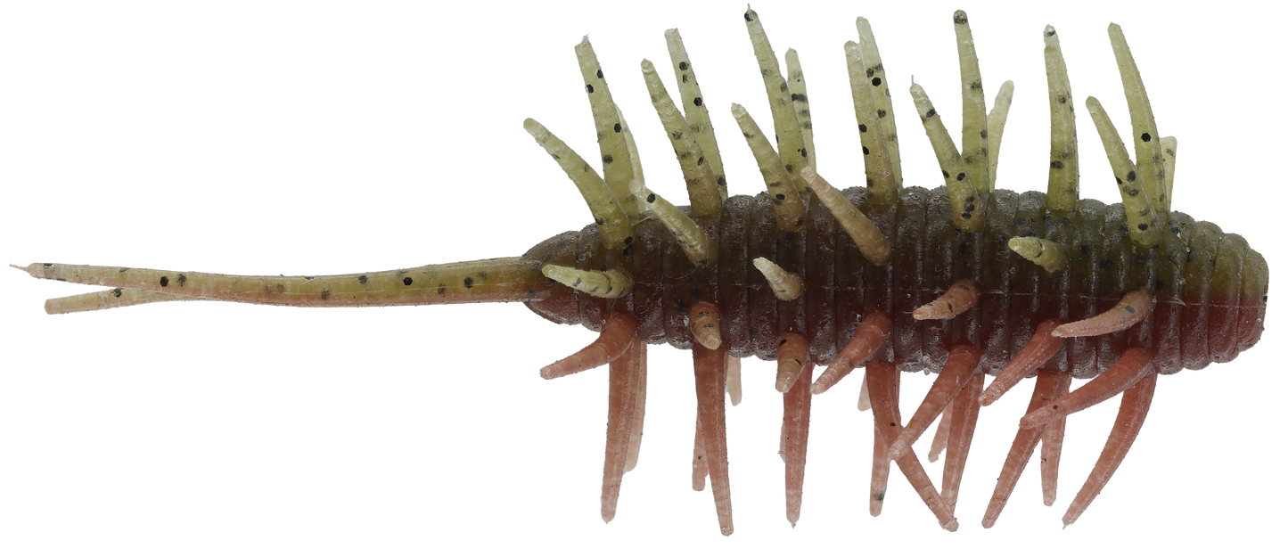 Coike Shrimp Medium - HIDEUP