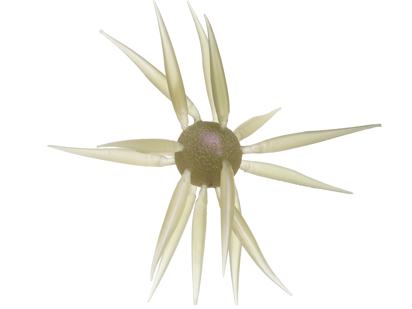 Coike Fish L Elastomer - HIDEUP