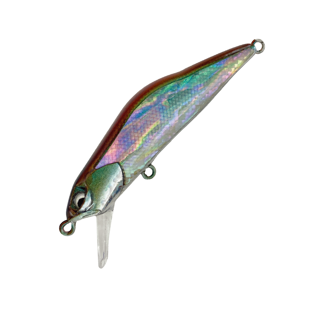 HARDSTREAMS T-Gravits Abalone - IVYLINE