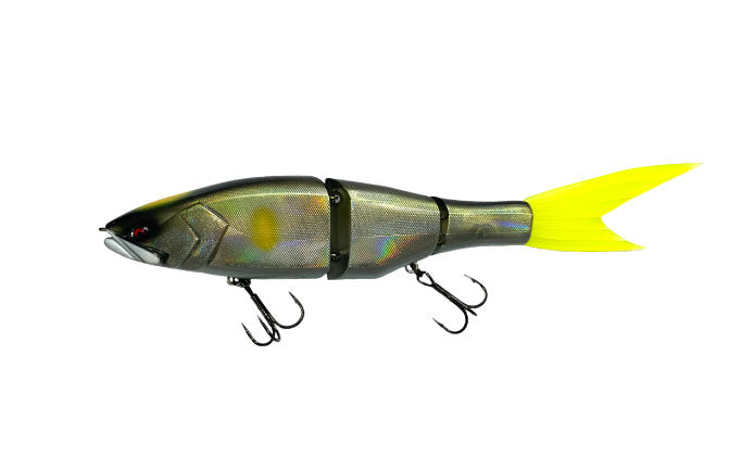 Grace 240F - Galápagos