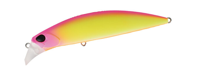 Beach Walker Fulcrum - DUO