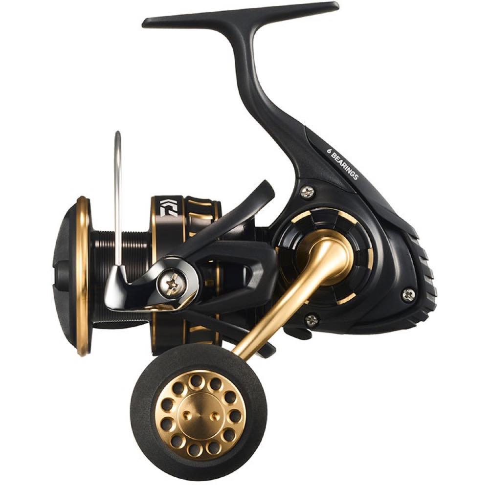 BG SW (23) - DAIWA