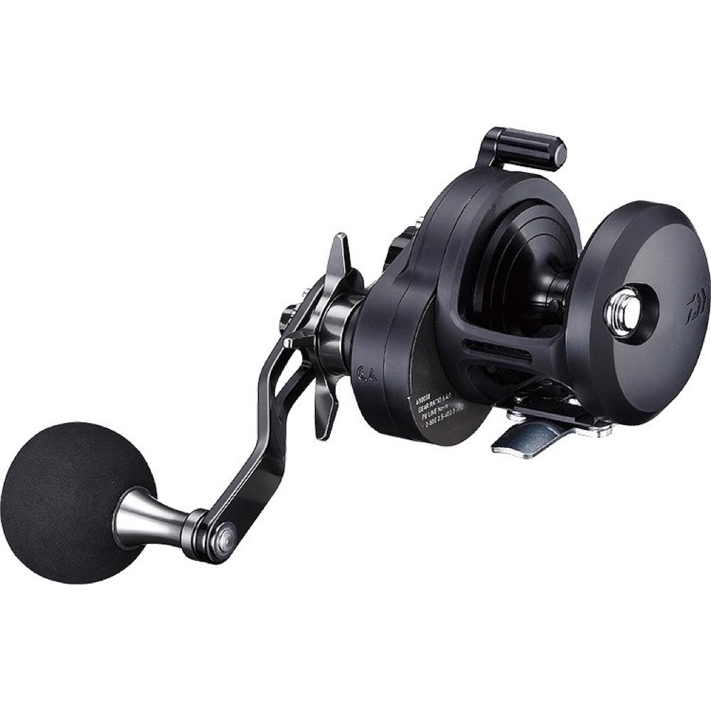 CATALINA (19) - DAIWA