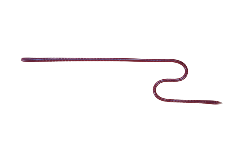 LONG “M” - JACKALL
