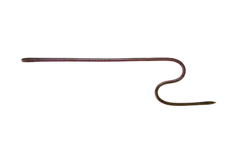 LONG “M” - JACKALL
