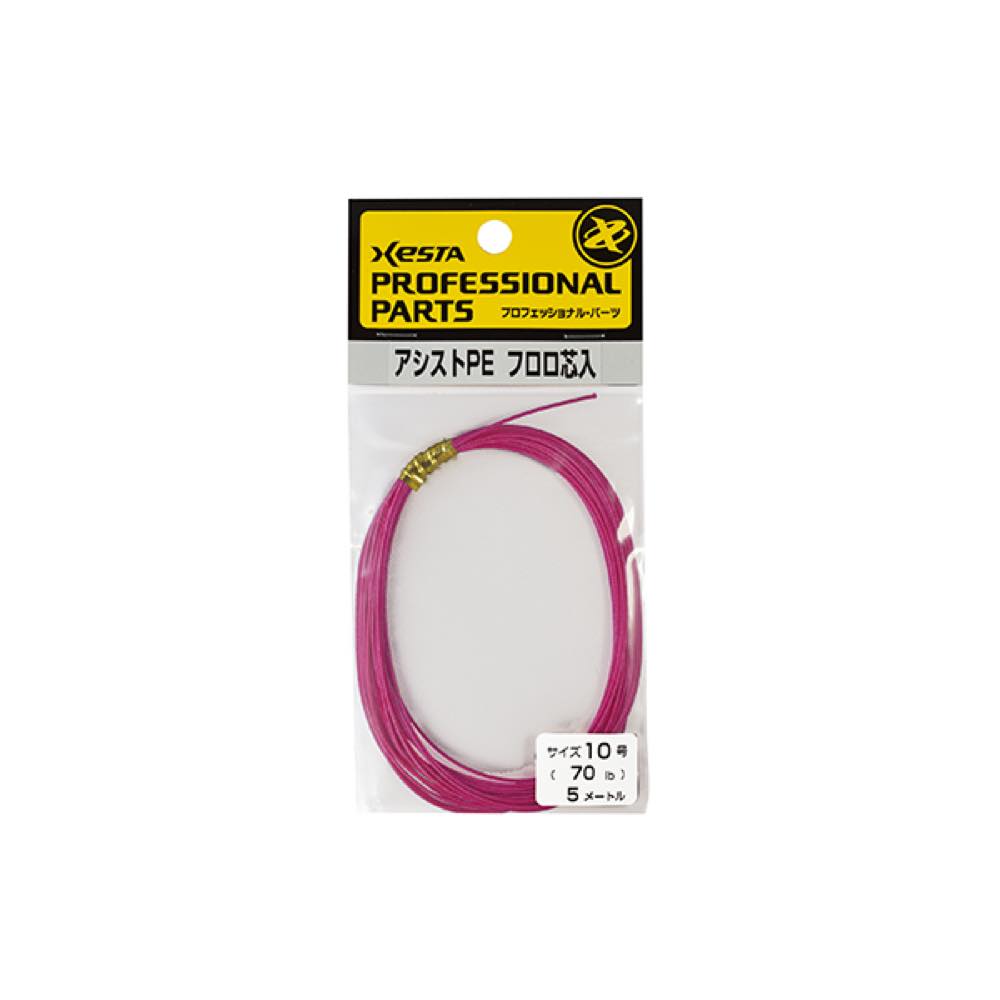 ASSIST PE (FLUORO CORE) - Xesta