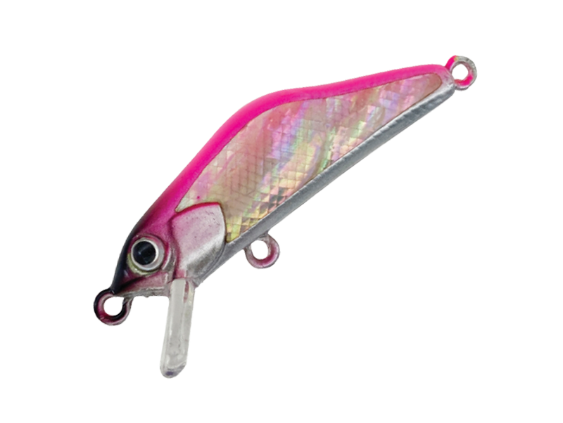 HARDSTREAMS T-Gravits Abalone - IVYLINE