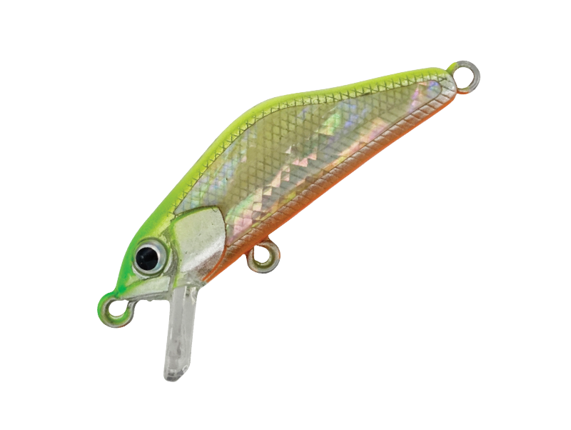 HARDSTREAMS T-Gravits Abalone - IVYLINE