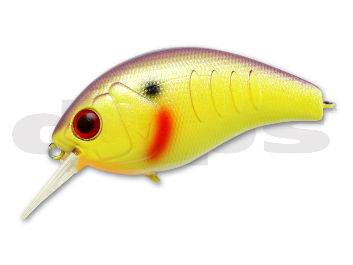 KORRIGAN MAGNUM 250 - deps