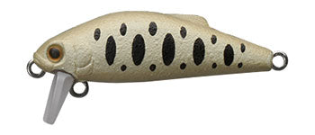 Buffet 38 - TACKLE HOUSE