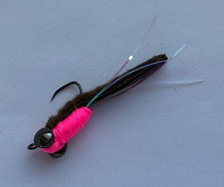 Shrimp Bomb Nicotto - Mukai