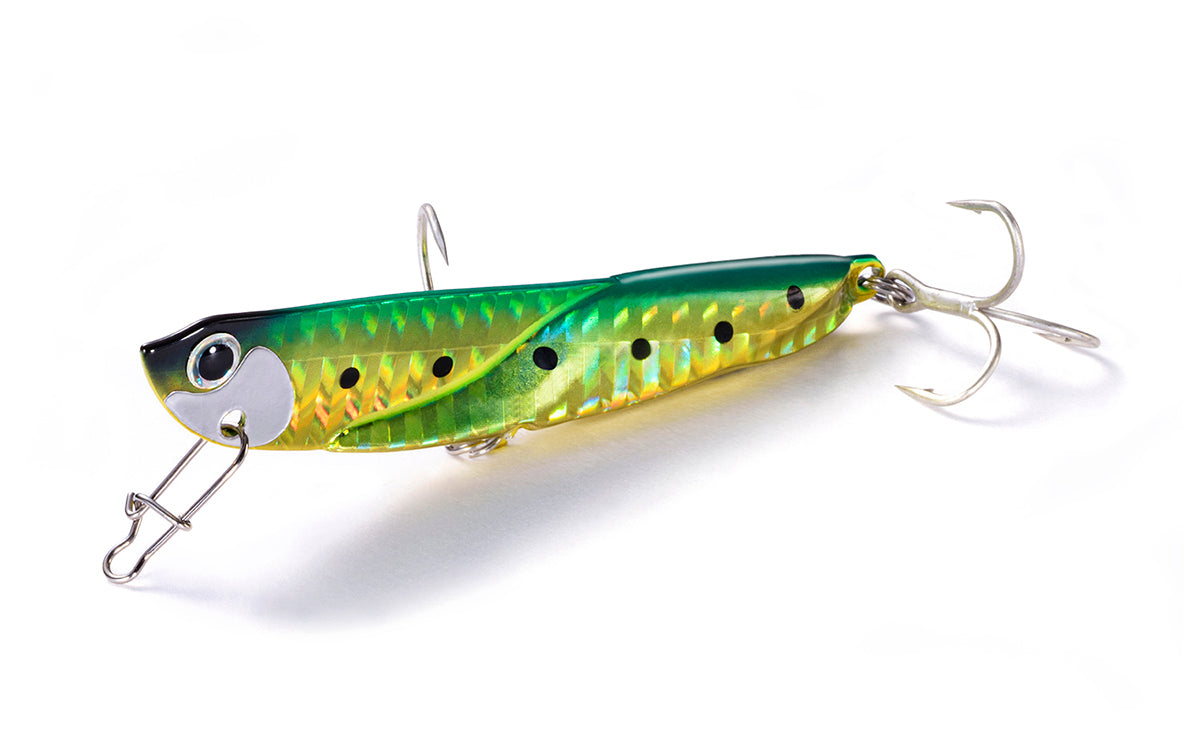 Tobisugi Daniel - Jackson