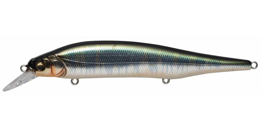 ITO SHINER - Megabass