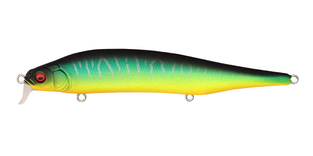 ITO SHINER SSR - Megabass