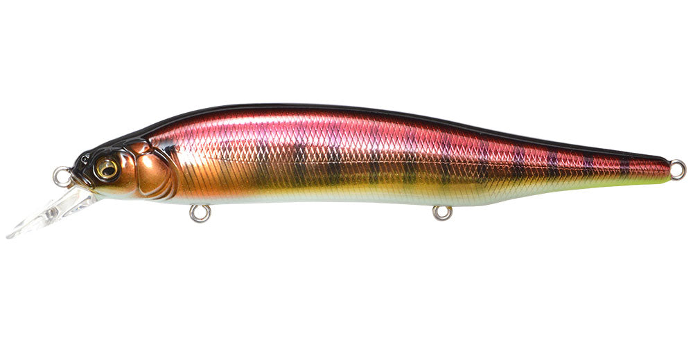 ITO SHINER - Megabass