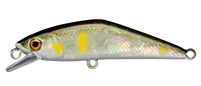 D-CONTACT 50 Avalon Avalon - SMITH