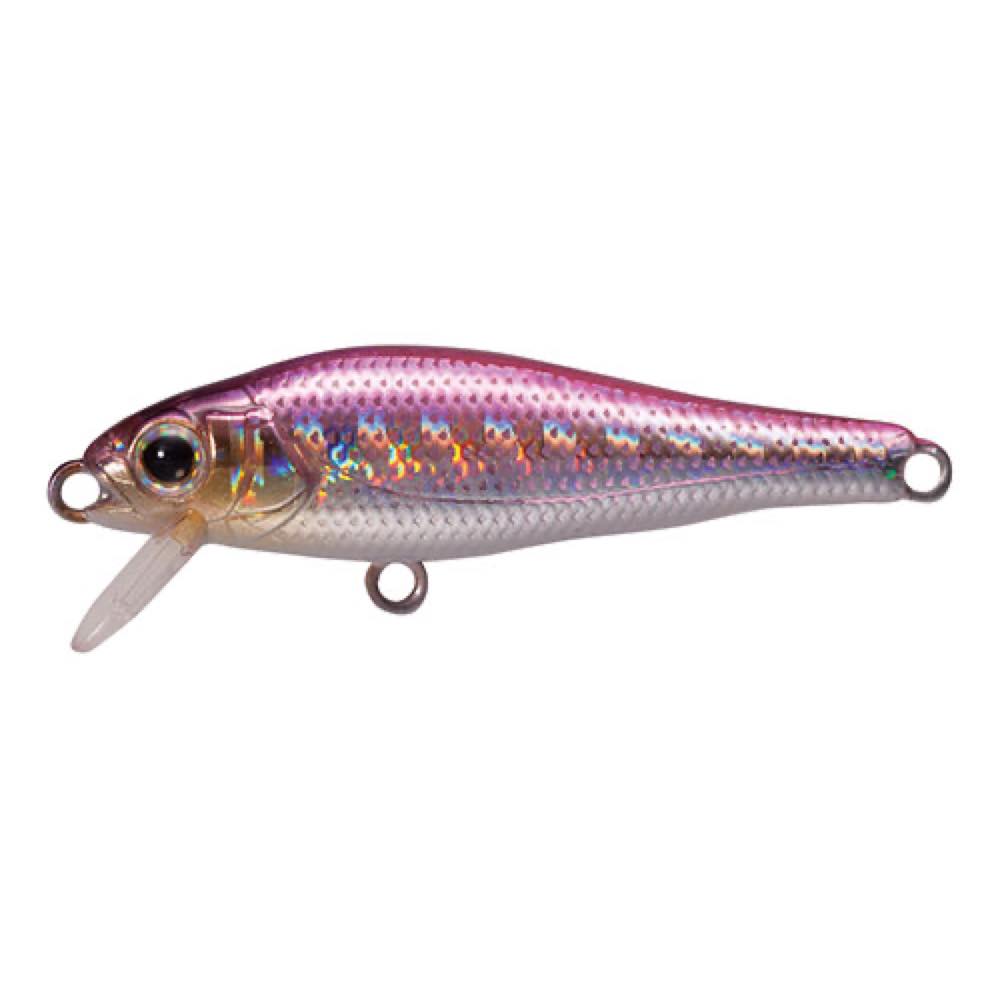 SHORES Fish - TACKLE HOUSE