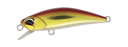 TETRA WORKS TOTO - DUO