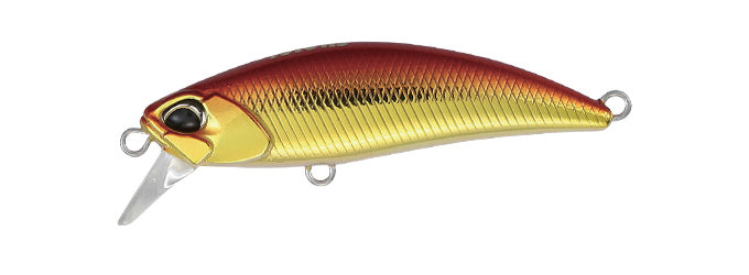 TETRA WORKS TOTO - DUO