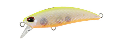 TETRA WORKS TOTO - DUO