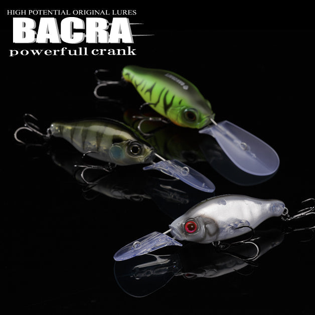 BARCA - GAN CRAFT