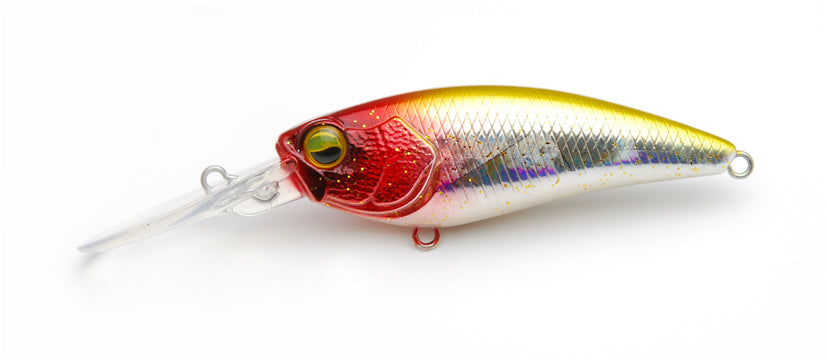 LEVEL SHAD - RAID JAPAN