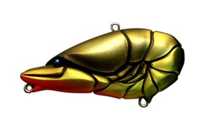 G.C. Zari Vib Jr.57 - ISSEI