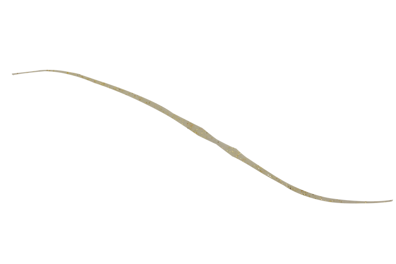 BINBINDAMA T+ NECKTIE SEMI CURLY - JACKALL