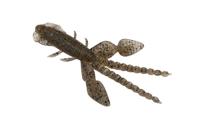 Empel Bug - Galápagos