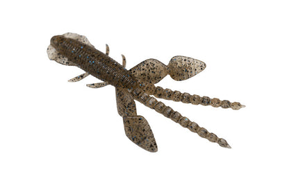 Empel Bug - Galápagos