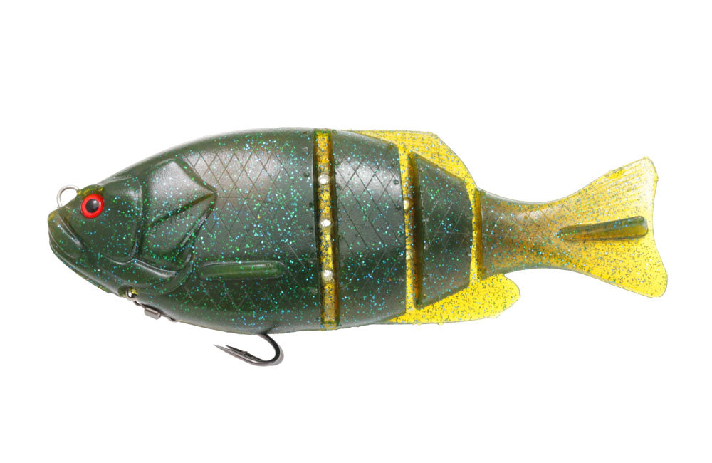 Gill Flat Swimmer - ISSEI