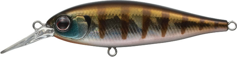 Combat Lures Bank Shad - EVERGREEN