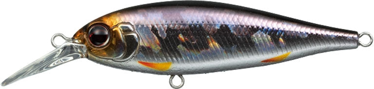 Combat Lures Bank Shad - EVERGREEN