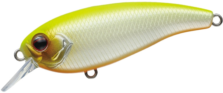 Combat Lures Belcanto - EVERGREEN