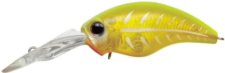 Mo-Do Wild Hunch 8 Footer - EVERGREEN
