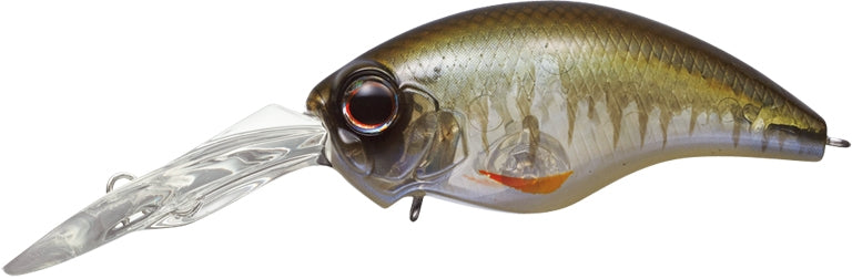 Mo-Do Wild Hunch 8 Footer - EVERGREEN