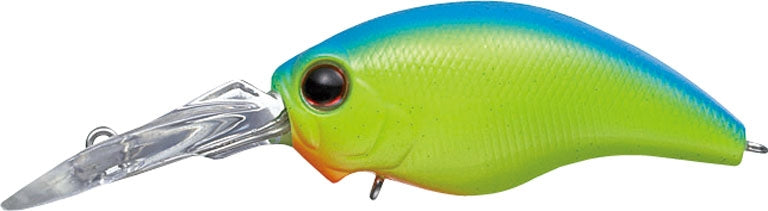 Mo-Do Rattle In Wild Hunch - EVERGREEN