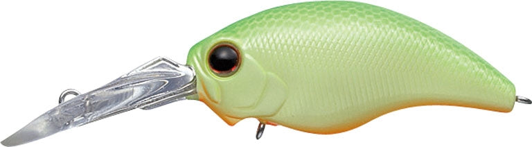 Mo-Do Rattle In Wild Hunch - EVERGREEN