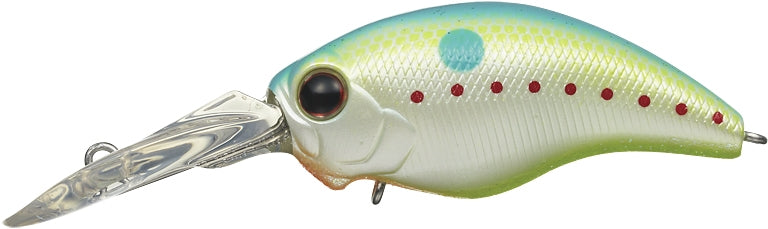 Mo-Do Rattle In Wild Hunch - EVERGREEN