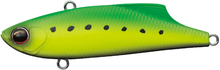 Marvie 70 - EVERGREEN