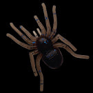BIG SPIDER MICRO - GAN CRAFT